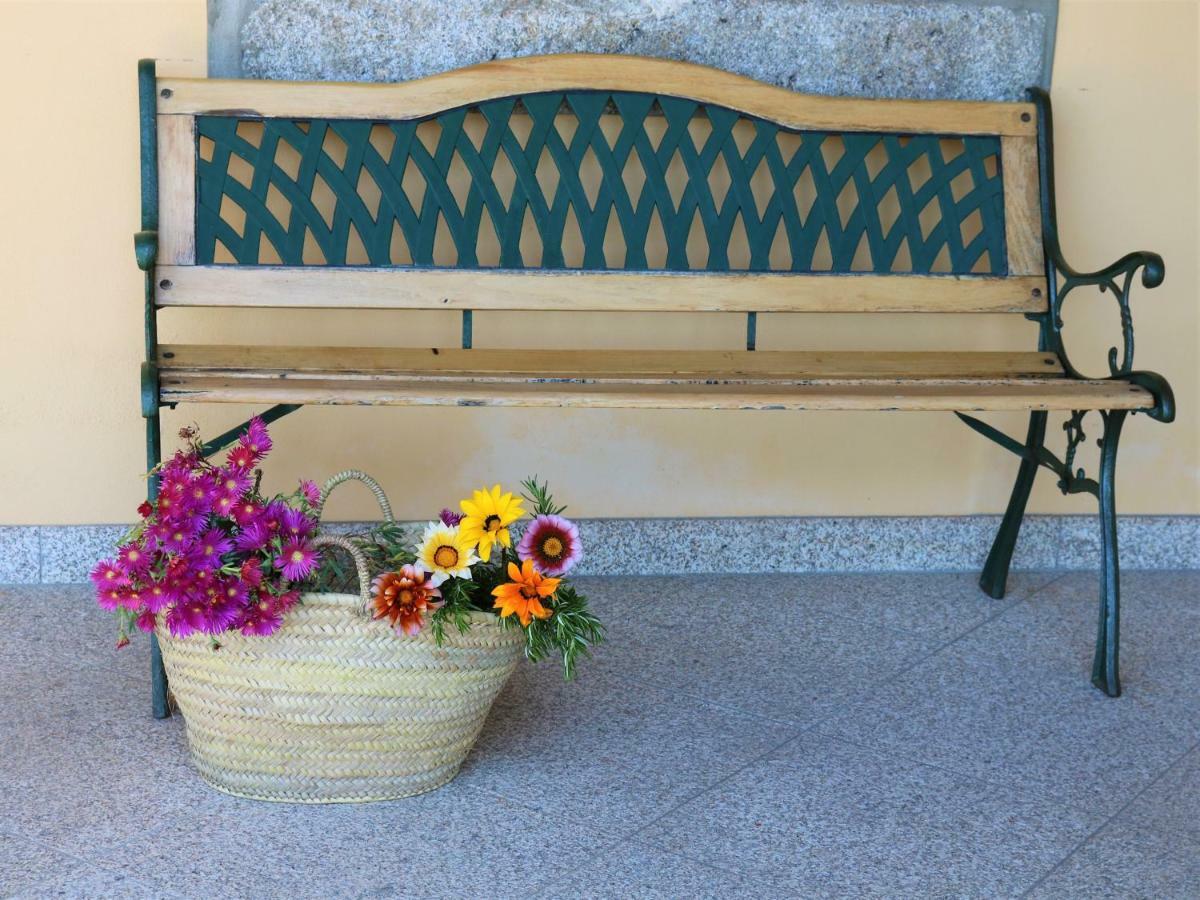 Lovely Sunny-House Viana do Castelo Extérieur photo